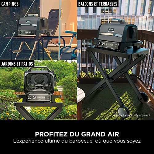 Ninja Woodfire barbecue électrique, grill, fumoir & air fryer, barbecue extérieur 7 en 1, grill, air fryer, fumer, rôtir, four, résistant aux intempéries, antiadhésif, portatif, gris/noir OG701EU